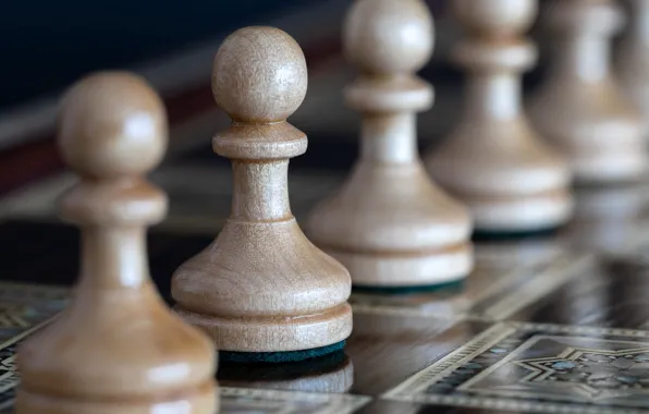 Macro, figure, pawns