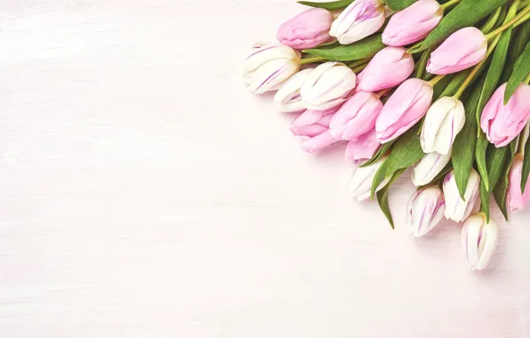 Picture flowers, background, bouquet, tulips, pink