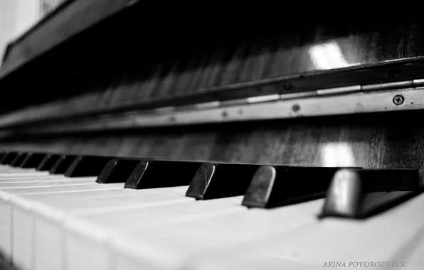 Picture macro, keys, black and white, piano, piano