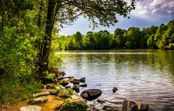 Picture forest, trees, lake, stones, shore, USA, Centennial Lake