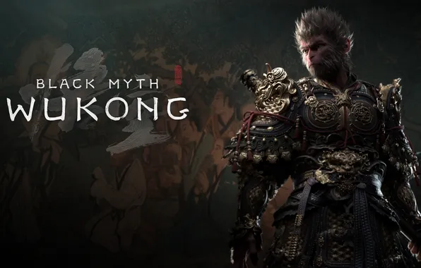 Picture Games, Game Art, Key Art, 2024 Games, Black Myth: Wukong