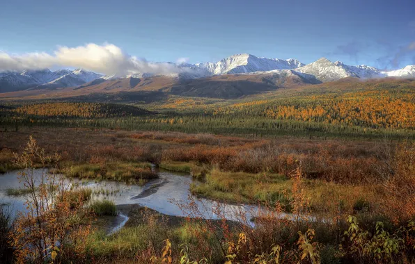 Field, autumn, forest, the sky, snow, mountains, blue, shore