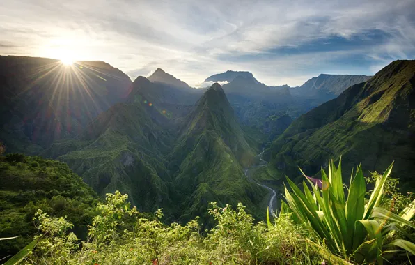 Forest, summer, the sky, the sun, landscape, sunset, mountains, nature