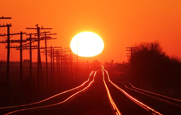 Sunset, The sun, The sky, Trees, Posts, Railroad, Rails