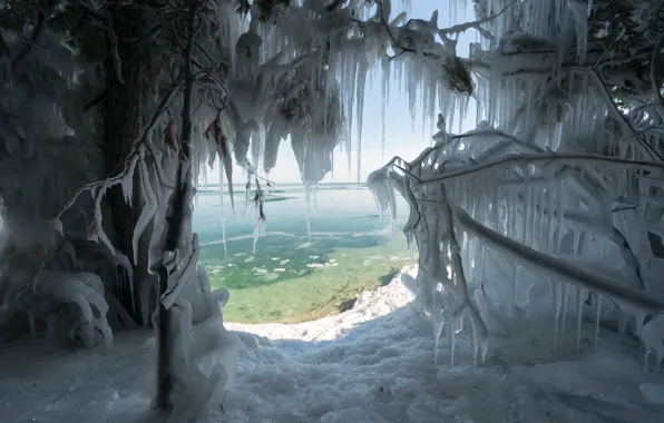 Winter, the sky, snow, trees, branches, lake, shore, view