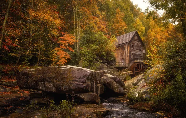 Autumn, forest, water mill
