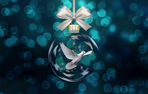 Picture flight, dove, tape, Christmas, bow, blue, fly, bokeh