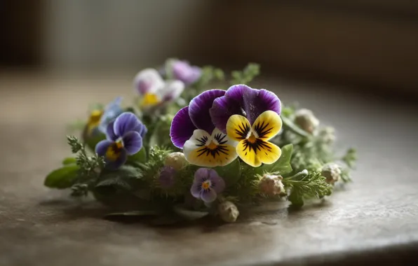 Flowers, table, yellow, purple, Pansy, a bunch, bokeh, composition