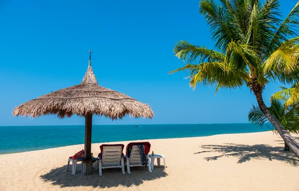 Sand, sea, beach, summer, the sky, palm trees, summer, beach
