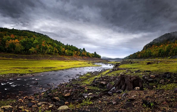 Forest, the sky, clouds, clouds, stream, stones, overcast, shore