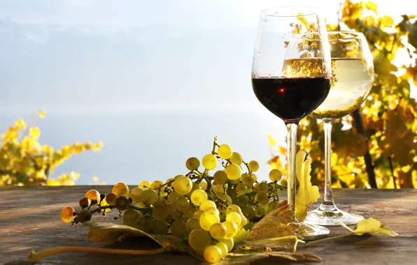 Picture leaves, table, wine, red, white, grapes, the vineyards