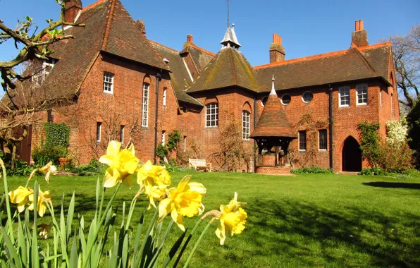Picture grass, the city, lawn, England, mansion, daffodils, Bexleyheath