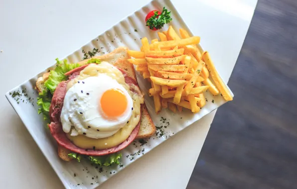 Greens, egg, cheese, bread, scrambled eggs, sandwich, parsley, salad
