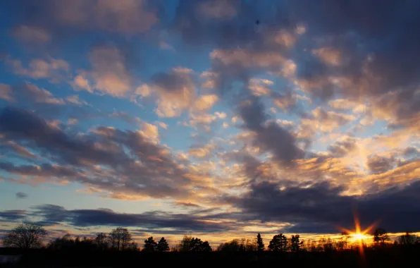 The sky, the sun, clouds, trees, sunset, horizon