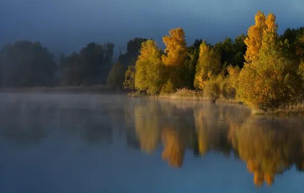 Autumn, forest, light, trees, fog, lake, reflection, blue