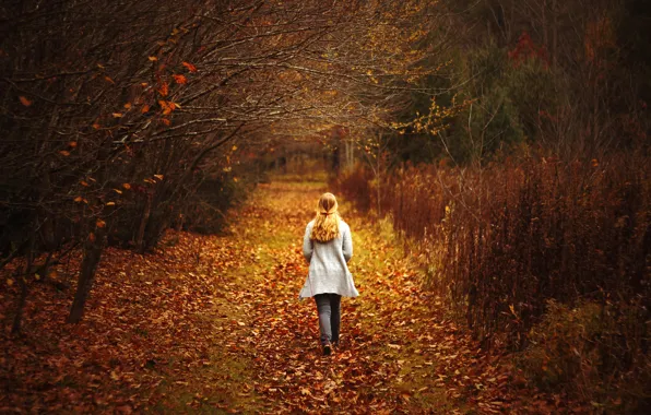 Leaves, girl, trees, the way, back, girl, trees, leaves