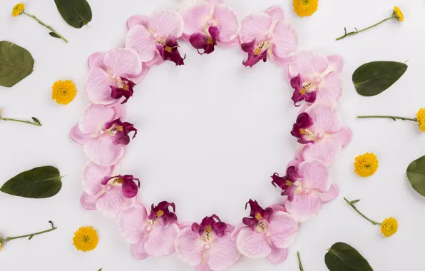 Flowers, leaves, orchids, buds, yellow, flowers, leaves, orchids