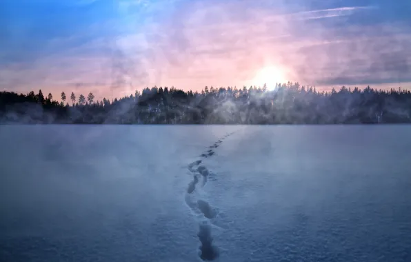 Winter, snow, night, fog, trail