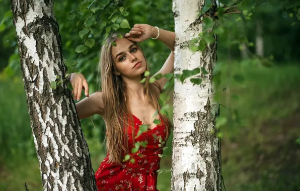 Picture summer, girl, birch, arseniy.shapurov
