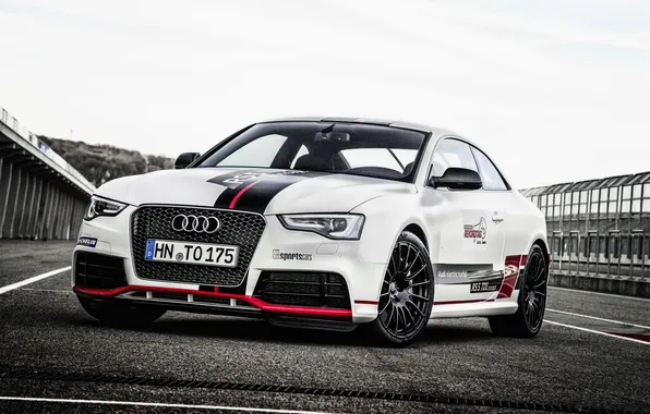 Picture Concept, Audi, Audi, TDI, Competition, 2015, RS 5