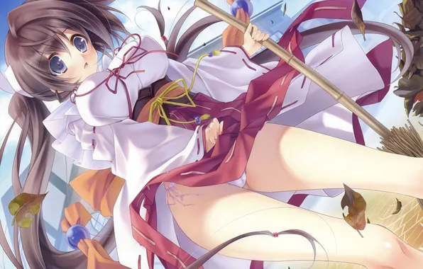 Leaves, Girl, broom, blue eyes, nadeshiko drip