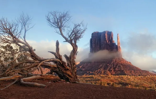 Picture landscape, nature, Arizona, sunrise, valley, monument, mittens