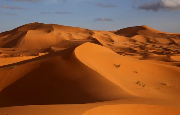 Sand, the sky, desert