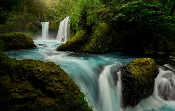 Forest, river, moss, waterfalls, Columbia River Gorge, Washington State, Little White Salmon River, Spirit If