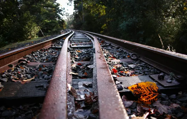 Leaves, background, railroad