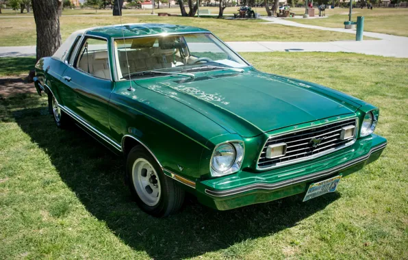 Style, retro, Ford Mustang, 1977