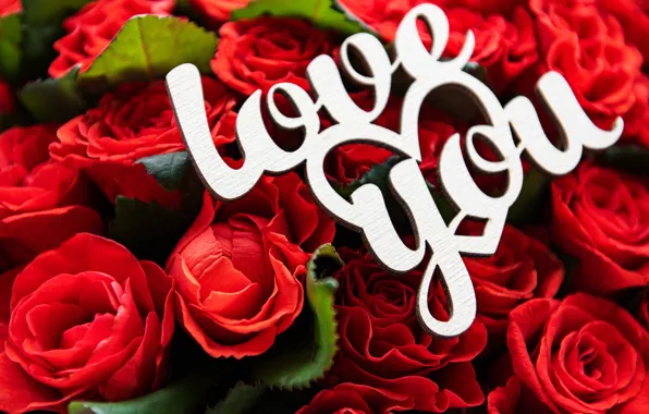 Love, roses, bouquet, red, Valentine's Day