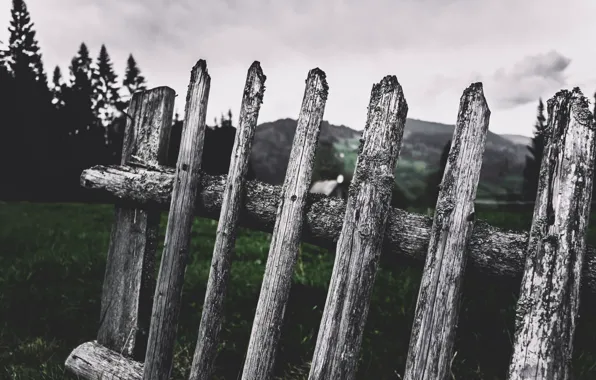 Picture fence, the fence, Cornelia Pavlyshyn