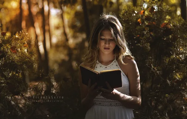 Picture autumn, girl, book