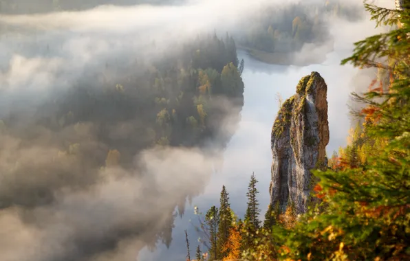 Picture trees, rocks, fog