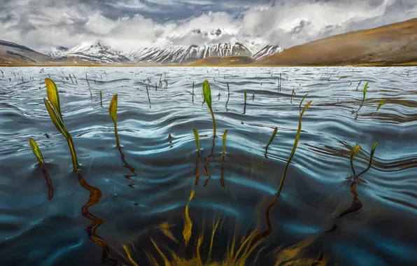 Clouds, algae, mountains, lake, valley, pond, kraken, Fortuna Fabrizio