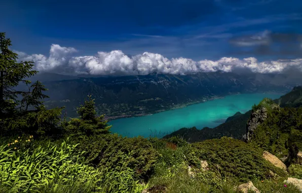 Clouds, mountains, lake, Switzerland, Switzerland, Lake Brienz, Bernese Alps, The Bernese Alps