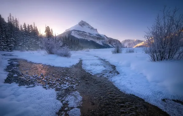 Winter, landscape, Canadian Rockies, Banff national parks