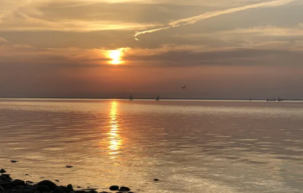 Sea, sunset, Azov