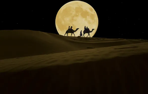 Night, the moon, desert, camels