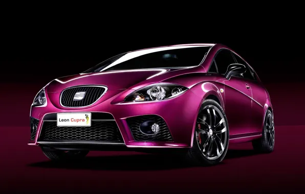 Concept, the concept, Leon, Seat, Leon, Seat, Cupra, Cupra