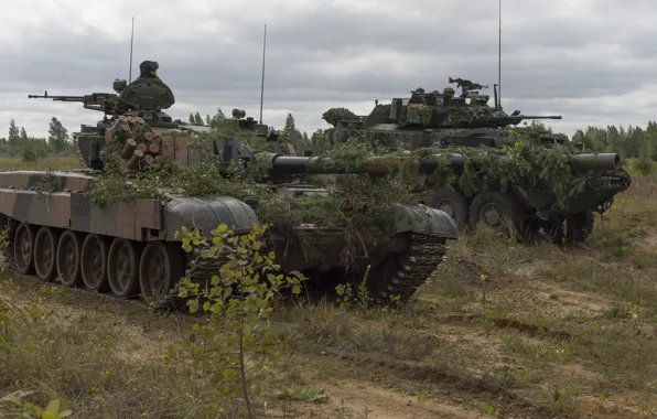 Tank, polygon, armor, maneuvers