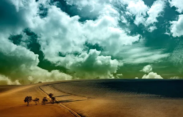 Field, the sky, clouds, trees, horizon