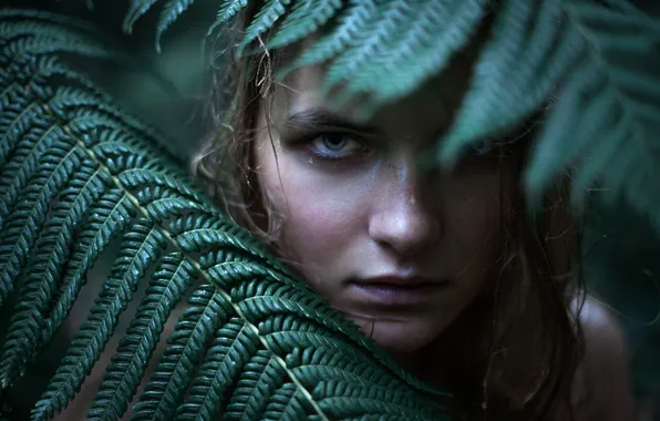 Picture leaves, girl, drops, macro, The Living