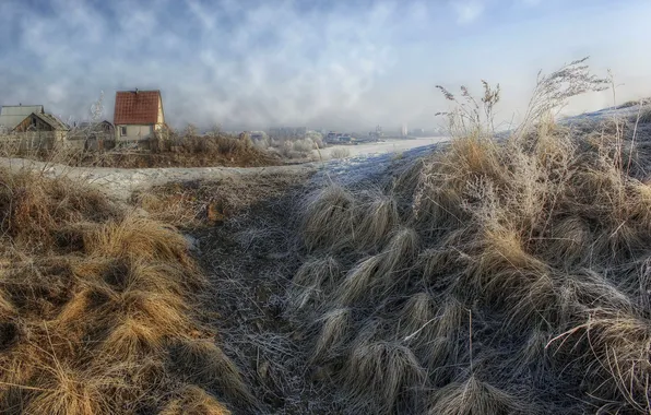 Picture frost, grass, the city, house