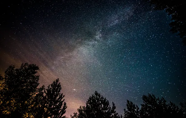 Picture space, stars, trees, night, the milky way