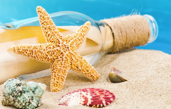 Sand, beach, summer, shell, seashells