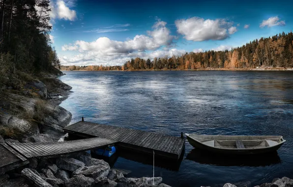 Picture forest, trees, lake, boat, pier