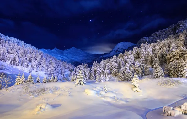 The sky, snow, trees, mountains, night, tree, Winter, blue