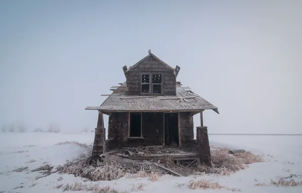 Picture winter, fog, house