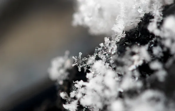 Frost, macro, snowflakes, crystals